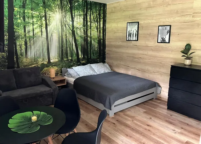 Apartman Vrbno Pod Pradedem