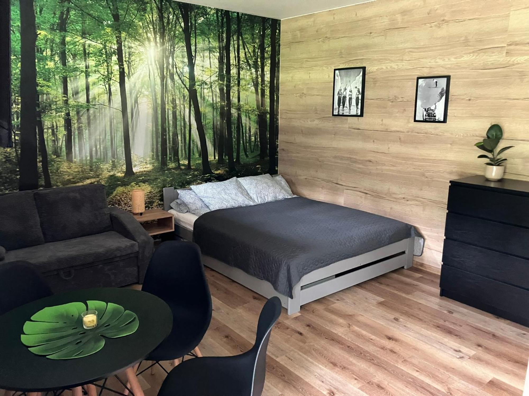 Apartment Apartman Vrbno Pod Pradedem Vrbno pod Pradedem